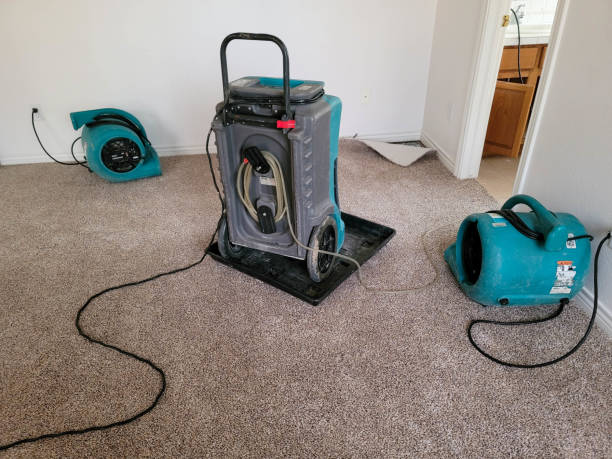 Water damage restoration mold remediation in Verona, MS