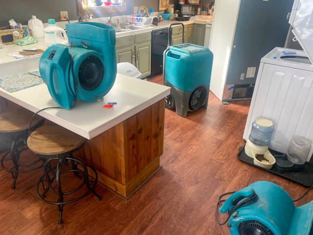 Best 24-hour water damage restoration  in Verona, MS