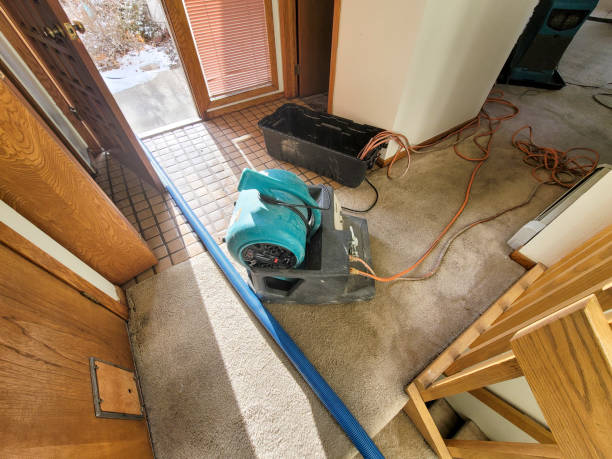 Best Flood restoration services  in Verona, MS
