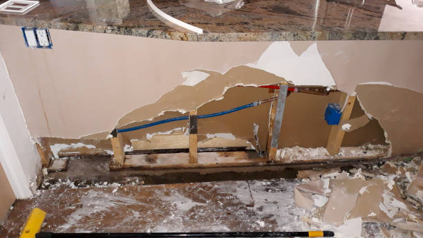Best Ceiling water damage repair  in Verona, MS