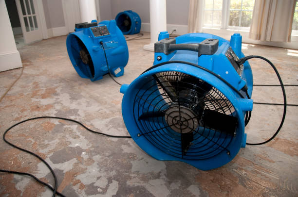 Best Water damage restoration near me  in Verona, MS