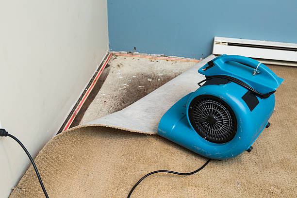 Water damage restoration insurance claims in Verona, MS